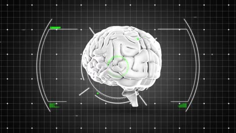 Animation-Des-Menschlichen-Gehirns-Und-Datenverarbeitung-über-Gitter