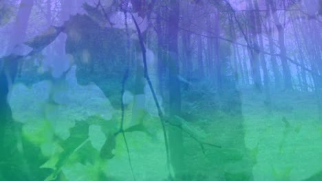 Animation-Von-Buntem-Licht-über-Wald-Und-Blättern
