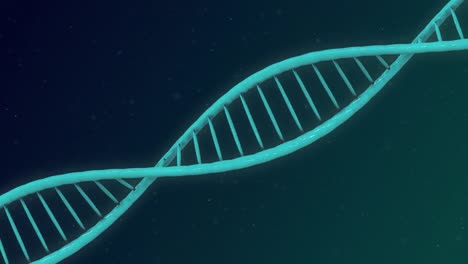 Animation-Von-Partikeln-über-Einer-DNA-Struktur,-Die-Sich-Vor-Blauem-Hintergrund-Mit-Farbverlauf-Dreht