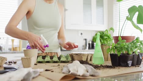 Caucasian-woman-preparing-and-watering-ground-for-plant-of-basil-on-table-in-kitchen