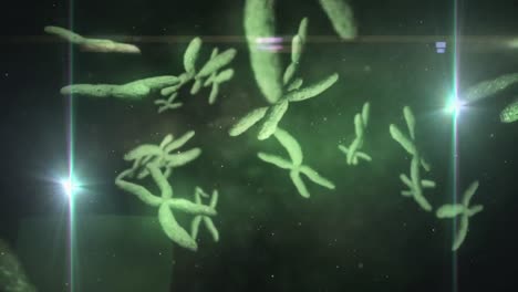 Animation-Von-Lichtflecken-über-Chromosomen,-Die-Vor-Grünem-Hintergrund-Schweben