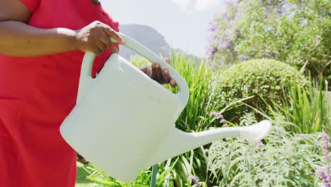 Happy-senior-african-american-woman-watering-flowers-in-sunny-garden,-slow-motion