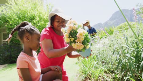 Happy-african-american-grandmother-and-granddaughter-planting-flowers-in-sunny-garden,-slow-motion