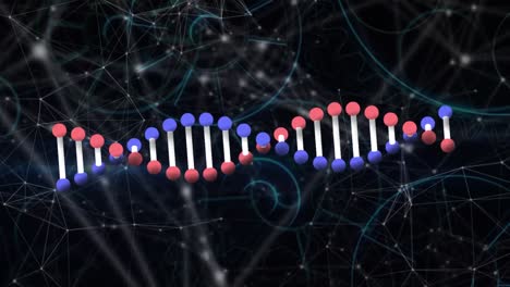 Animation-Der-DNA-Struktur,-Die-Sich-über-Ein-Netzwerk-Von-Verbindungen-Dreht,-Und-Lichtfleck-Auf-Schwarzem-Hintergrund