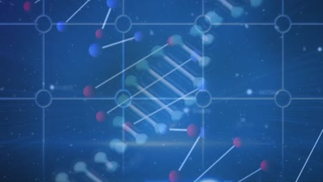 Animation-of-white-particles-and-spinning-dna-structure-over-grid-network-against-blue-background
