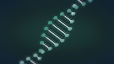 Animation-Eines-DNA-Strangs-über-Ein-Netzwerk-Von-Verbindungen-Auf-Schwarzem-Hintergrund