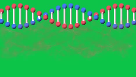 Animation-of-digital-wave-and-spinning-dna-structure-against-green-background