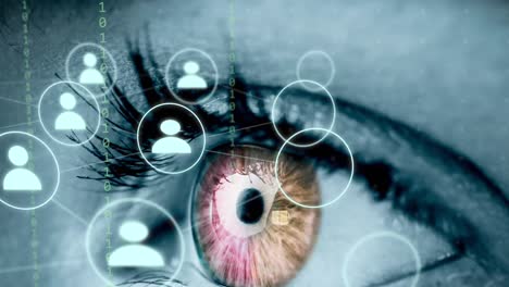 Animation-of-human-eye,-connections-and-data-processing