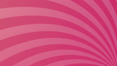 Animation-of-pink-stripes-spinning-on-pink-background