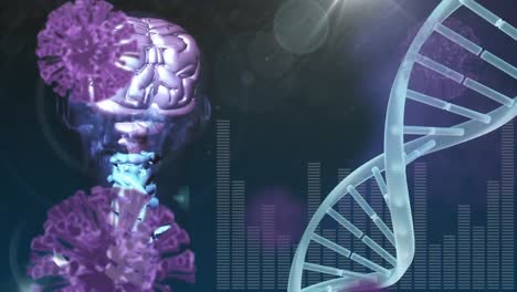 Animation-Von-DNA-Strang,-Covid-19-Zellen-Und-Datenverarbeitung