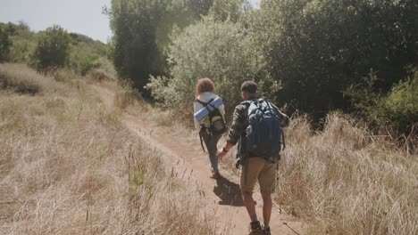 Happy-african-american-couple-wearing-backpacks-and-hiking-in-forest,-slow-motion