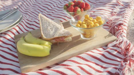 Close-up-of-fruit-and-sandwiches-on-blanket-at-beach,-copy-space,-slow-motion