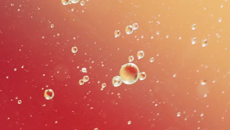 Animation-of-bubbles-moving-on-red-background-with-copy-space