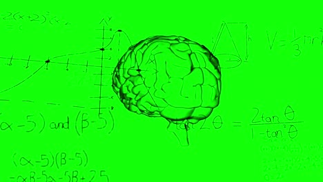Animation-Mathematischer-Gleichungen-Und-Diagramme-über-Dem-Menschlichen-Gehirn-Vor-Grünem-Hintergrund