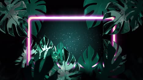 Animation-of-green-tropical-leaves-with-pink-neon-frame-on-dark-background