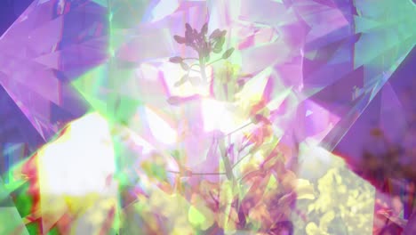 Animation-of-glowing-crystals-over-flowers-on-meadow