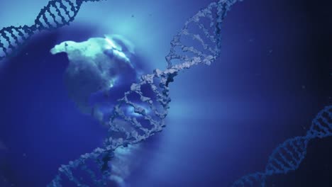 Animation-of-dna-strands-and-globe-spinning-on-blue-background