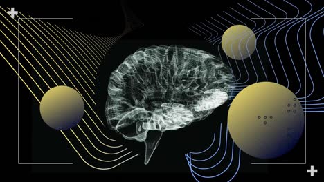 Animation-Des-Menschlichen-Gehirns-Und-Globen-Im-Sucher-über-Wellenmuster-Vor-Abstraktem-Hintergrund