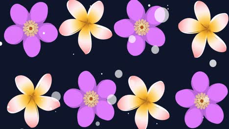 Animation-of-colorful-flowers-and-white-dots-moving-against-black-background