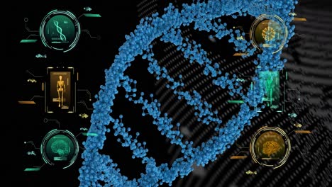 Animation-of-blue-dna-strand,-human-brain-and-body-with-scientific-data-processing
