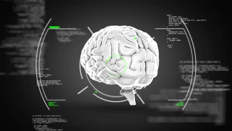 Animation-Des-Digitalen-Menschlichen-Gehirns-In-Kreisen-über-Computersprache-Vor-Abstraktem-Hintergrund