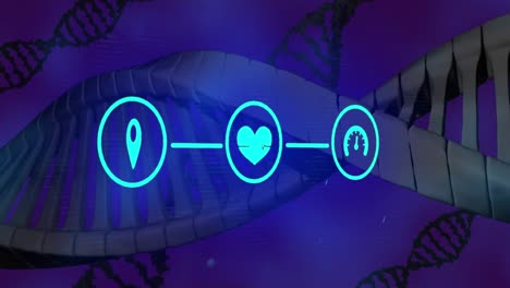 Animation-Von-Sich-Drehenden-DNA-Strängen-Und-Einem-Netzwerk-Von-Symbolen-Auf-Violettem-Hintergrund