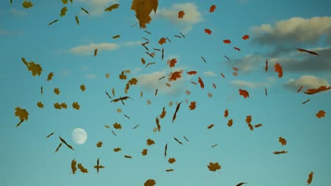 Animation-of-autumn-leaves-falling-over-sky-with-clouds-and-moon