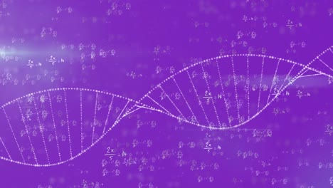 Animation-of-mathematical-equations-over-dna-strand