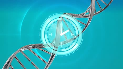 Animation-of-ticking-clock-and-spinning-dna-structures-over-concentric-circles-on-blue-background