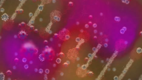 Animation-Von-Viruszellen-Und-DNA-Strang-Auf-Buntem-Hintergrund