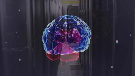 Animation-Des-Verbindungsnetzwerks-Und-Des-Gehirns-über-Dem-Serverraum