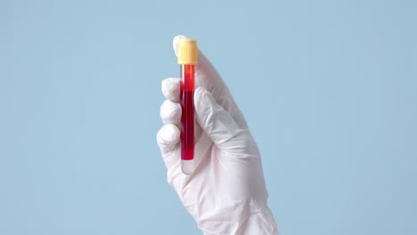 Hand-wearing-medical-glove-holding-blood-sample-on-blue-background-with-copy-space,-slow-motion