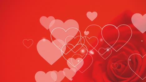 Animation-of-hearts-moving-over-red-rose-on-red-background