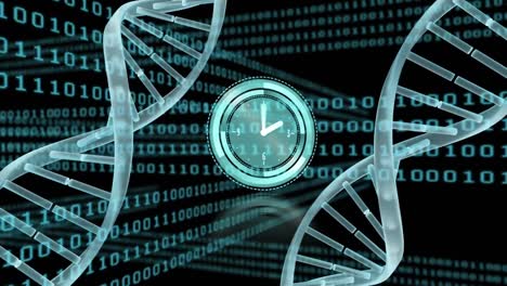 Animation-of-ticking-clock,-dna-structure-and-binary-coding-data-processing-on-blue-background