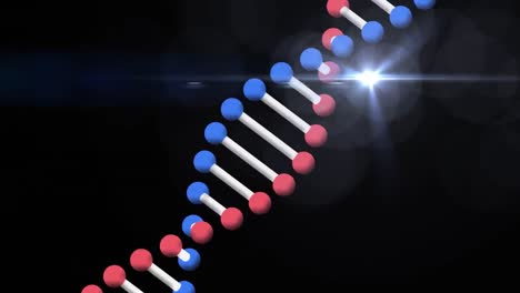 Animation-Eines-DNA-Strangs-über-Lichtspuren-Auf-Schwarzem-Hintergrund