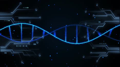 Animation-of-data-processing-on-screens-and-dna-strand