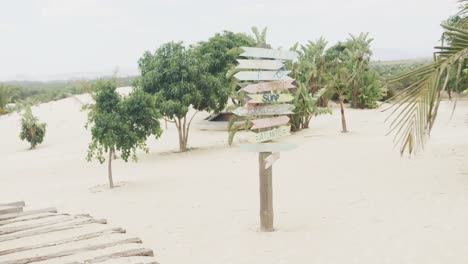 Weathered-signpost-and-trees-on-sunny-sandy-holiday-beach,-slow-motion