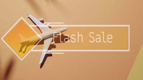 Animation-of-flash-sale-text-over-plane-and-shadow-of-leaf