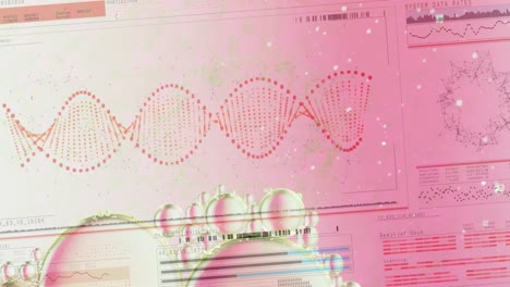 Animation-of-bubbles-over-dna-strand-and-data-processing-on-pink-background