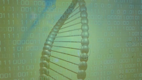 Animation-of-data-processing-over-dna-strand-on-green-background
