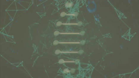 Animation-Von-Blasen-über-Einem-DNA-Strang-Mit-Chemischer-Formel-Und-Verbindungen-Auf-Grünem-Hintergrund