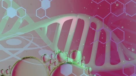 Animation-of-bubbles-over-dna-strand-and-hexagons-on-pink-background