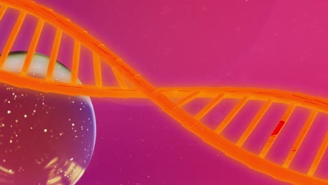 Animation-Von-Blasen-Und-DNA-Strang-Auf-Violettem-Hintergrund