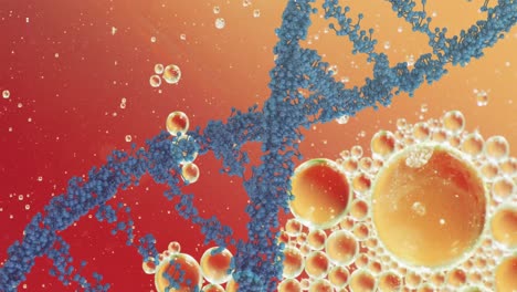Animation-of-bubbles-over-dna-strand-on-orange-background