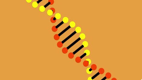 Animation-of-dna-structure-spinning-against-with-copy-space-on-orange-background