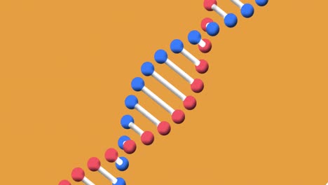 Animation-of-dna-structure-spinning-against-with-copy-space-on-orange-background