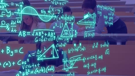 Animation-of-equations-and-data-processing-over-diverse-students