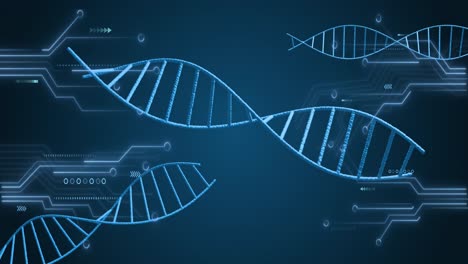Animation-Sich-Drehender-DNA-Strukturen-Und-Mikroprozessorverbindungen-Vor-Blauem-Hintergrund