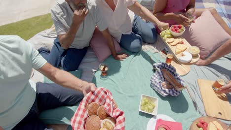 Happy-diverse-senior-friends-passing-food-at-picnic-in-sunny-garden,-unaltered,-in-slow-motion