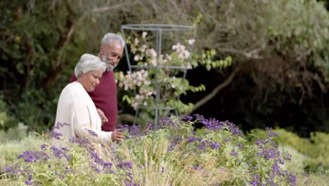 Senior-biracial-couple-walking-and-touching-flowers-in-sunny-garden,-unaltered,-in-slow-motion